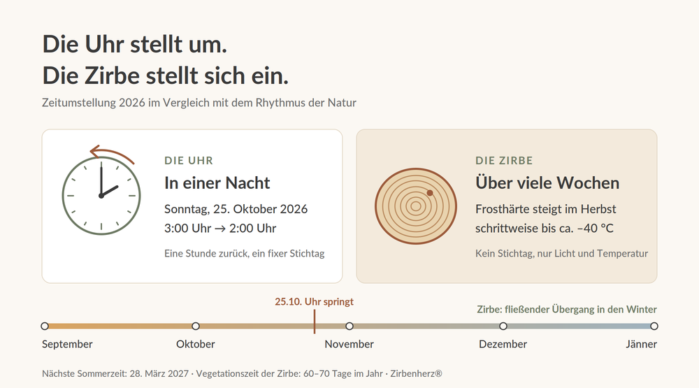 Grafik zum Thema Zeitumstellung und Zirbe
